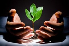 上市公司涉足并購重組創(chuàng)新高